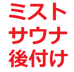 ミストサウナ 後付け費用はいくらかかる 賃貸でもできる おすすめ機種紹介 リンナイ ノーリツなど 後悔しないマイホーム選び